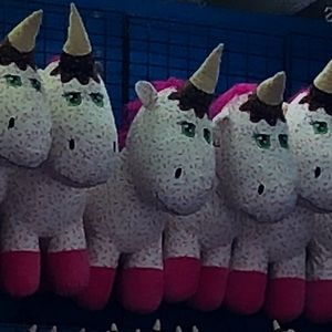 Meet your Posher, Scarlett